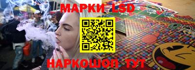 Альфа ПВП Малгобек