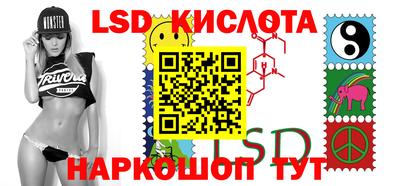 Альфа ПВП Малгобек