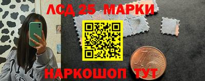Альфа ПВП Малгобек