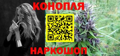 Альфа ПВП Малгобек