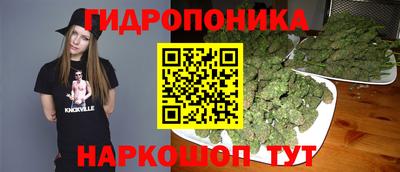 Альфа ПВП Малгобек