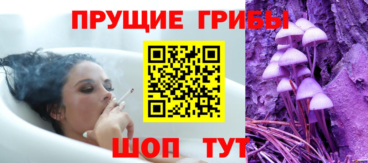 Полысаево  Псилоцибиновые грибы GOLDEN TEACHER  Вход с VPN 